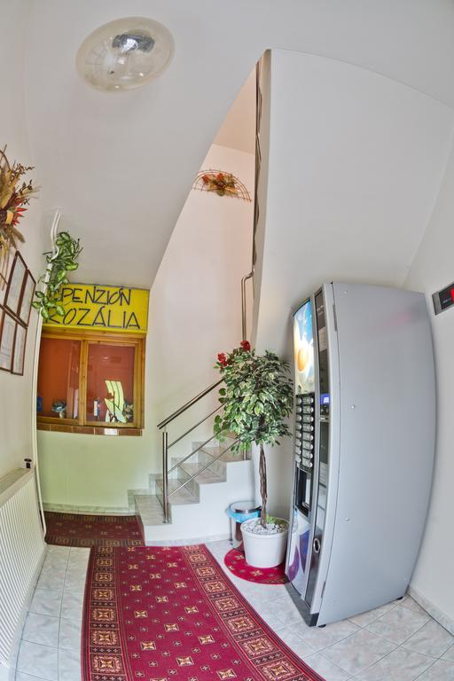 Penzion Rozalia Ξενοδοχείο Košice Εξωτερικό φωτογραφία